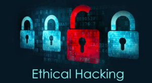 Ethical hackers for hire